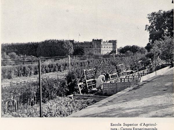 Salvaguarda del Palau Mercader durant la Guerra Civil espanyola.jpg