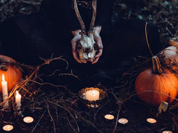 sang i fetge_bcn.jpg