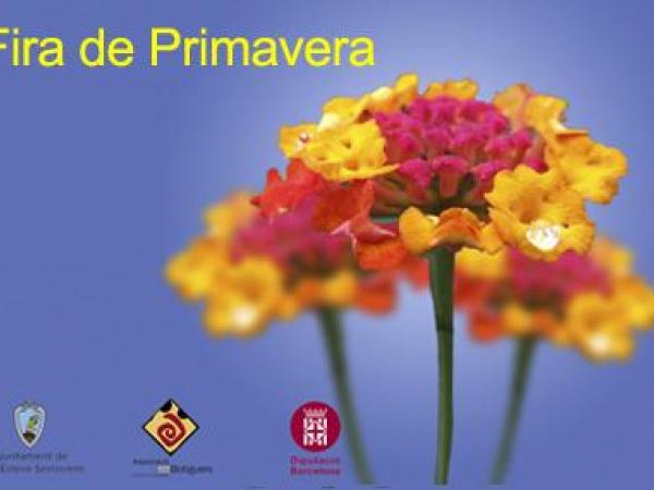 Sant Esteve Sesrovires3.jpg