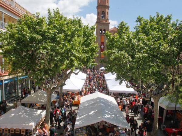 Sant Feliu de Llobregat - Sant Jordi 2018