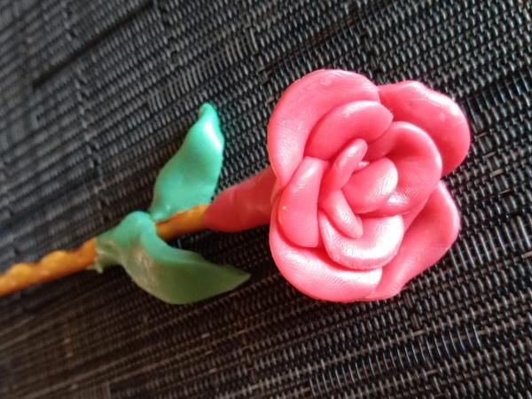 sant jordi a casa.jpg