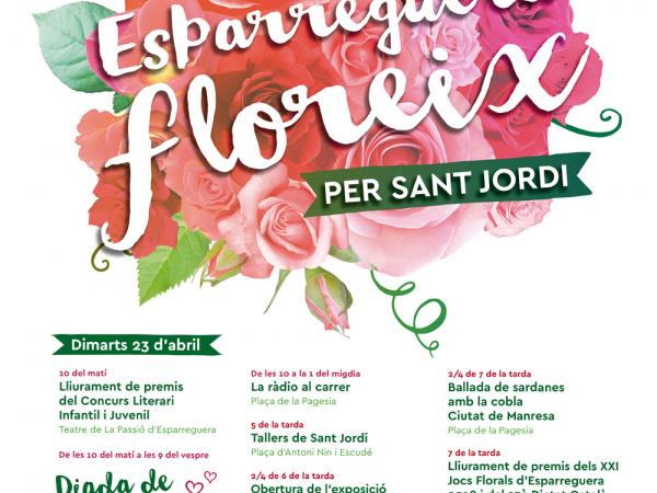 Sant jordi web.jpg