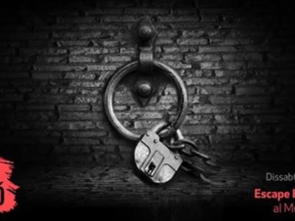 scape experience.jpg