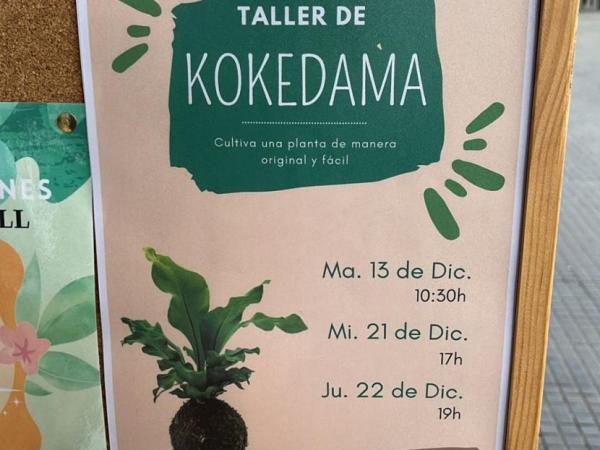 Kokedama 