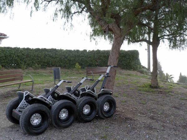 Tinta i Vi, Estudi d'art