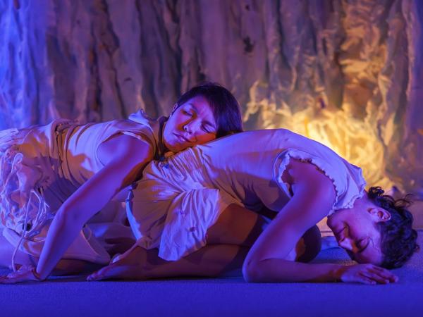 SIN PALABRAS (SE LAS LLEVÓ EL AIRE...)