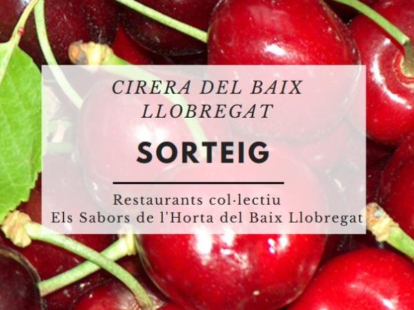 SORTEIG ESPECIAL CIRERA.jpg