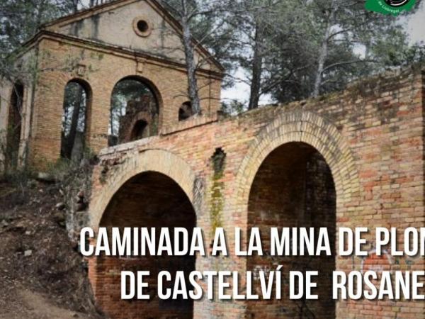 Excursió a les mines de plom