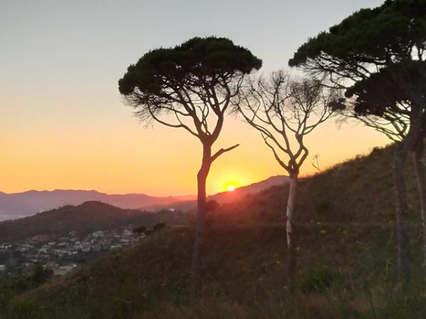 Capvespre a Sant Pere Màrtir