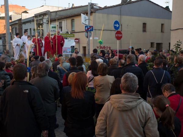 Benedicció i processó de rams