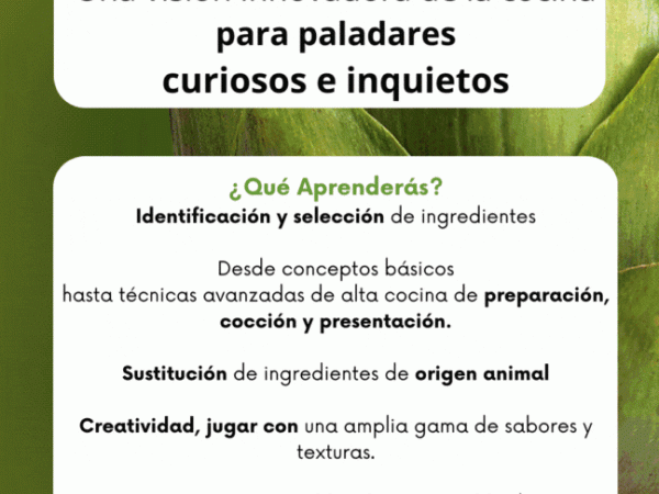 Taller Menú Veggie
