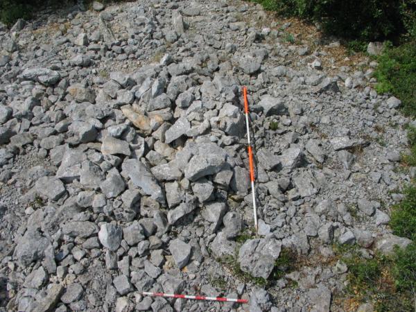 ITINERARI LA MORT A LA PREHISTÒRIA