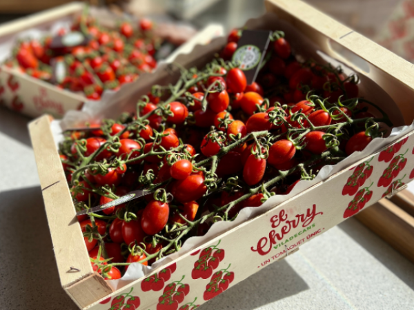 Acte d'inici de la Ruta Gastronòmica del Cherry de Viladecans