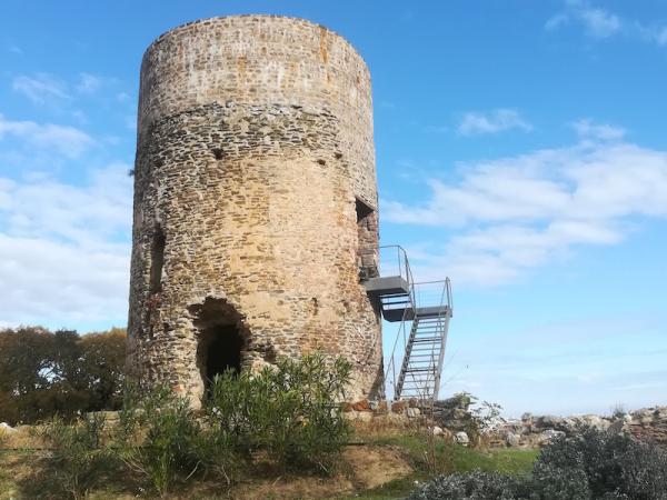 Itinerari pels voltants de la torre de Benviure