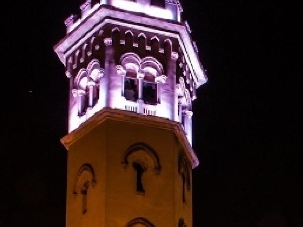 Nit de museus. Portes obertes a la Torre de la Miranda