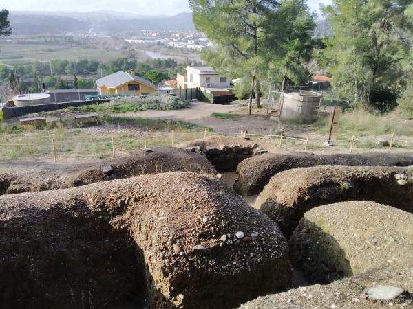 Vista de les trinxeres de la Guerra Civil del bosc de Sant Miquel d'Abrera