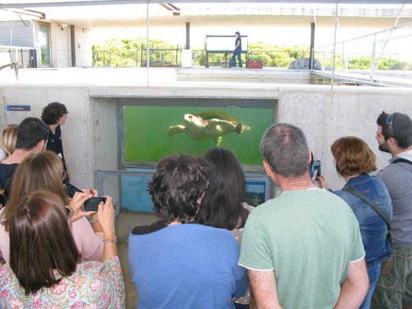 VISITA GUIADA AL CRAM.JPG