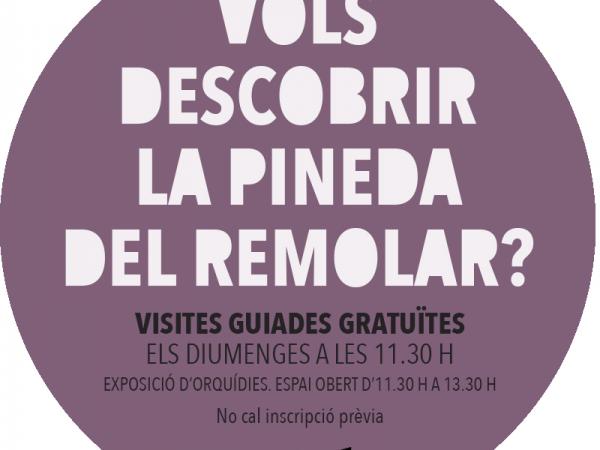 Visita guiada a la Pineda del Remolar i Exposició d'orquídies