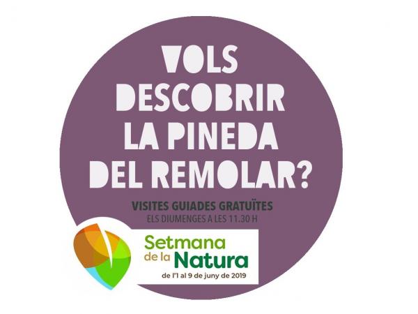 volspinedaremolarsetmananatura (1)_0.jpg