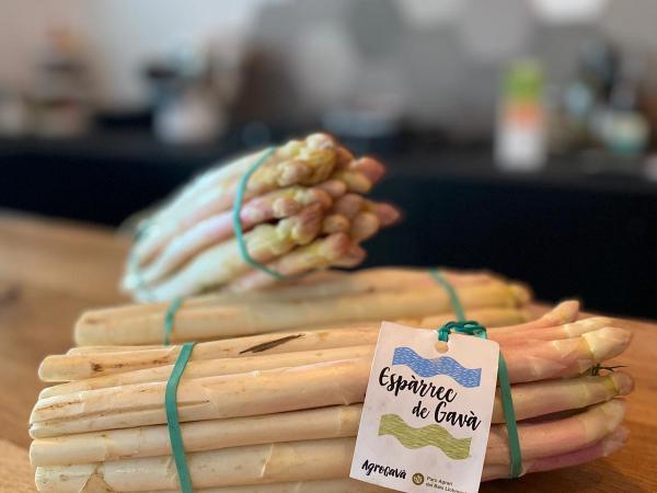 WhatsApp Image 2020-04-16 at 11.38.13.jpeg