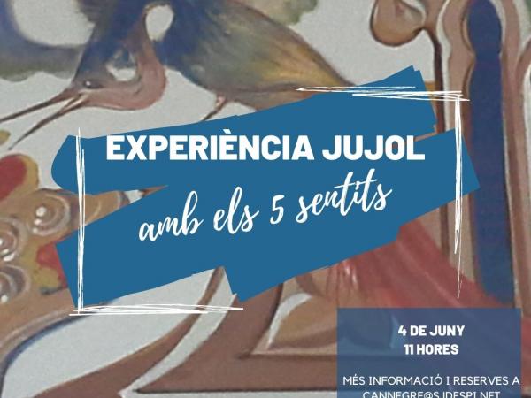 Experiència Jujol amb els 5 sentits