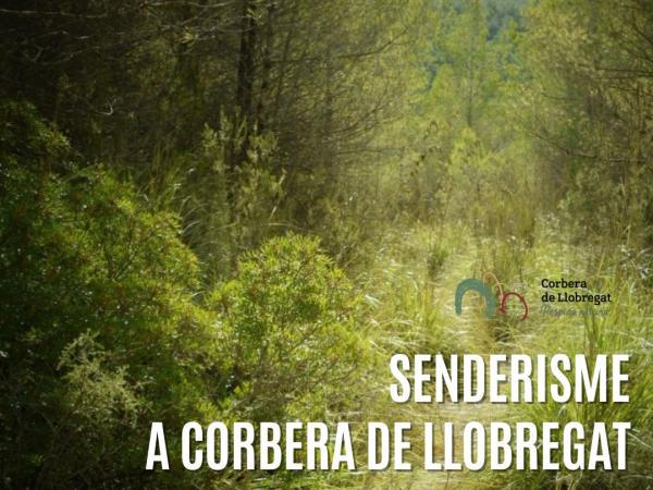 Ajuntament de Corbera de Llobregat