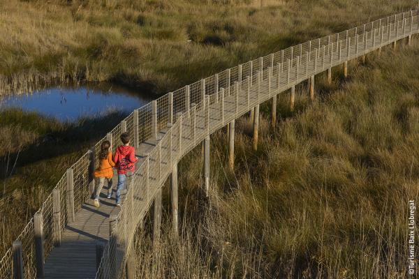 El Consorci de Turisme del Baix Llobregat impulsa la campanya educativa “Descobreix la Costa del Delta del Llobregat: un espai únic per aprendre i gaudir”  finançada per la Unió Europea-NextGenerationEU dins del PSTD Costa Barcelona Delta Llobregat