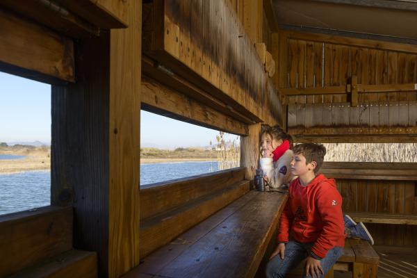 El Consorci de Turisme del Baix Llobregat impulsa la campanya educativa “Descobreix la Costa del Delta del Llobregat: un espai únic per aprendre i gaudir”  finançada per la Unió Europea-NextGenerationEU dins del PSTD Costa Barcelona Delta Llobregat