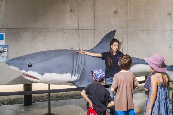 El Baix Llobregat impulsa el Turisme Blau amb una campanya per fomentar el turisme sostenible a la zona de la Costa del Delta