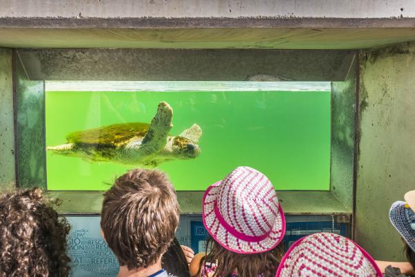 El Consorci de Turisme del Baix Llobregat impulsa la campanya educativa “Descobreix la Costa del Delta del Llobregat: un espai únic per aprendre i gaudir”  finançada per la Unió Europea-NextGenerationEU dins del PSTD Costa Barcelona Delta Llobregat