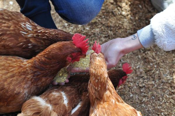 Èxit de participació a la segona edició del SostiBaix, la Quinzena Sostenible del Baix Llobregat