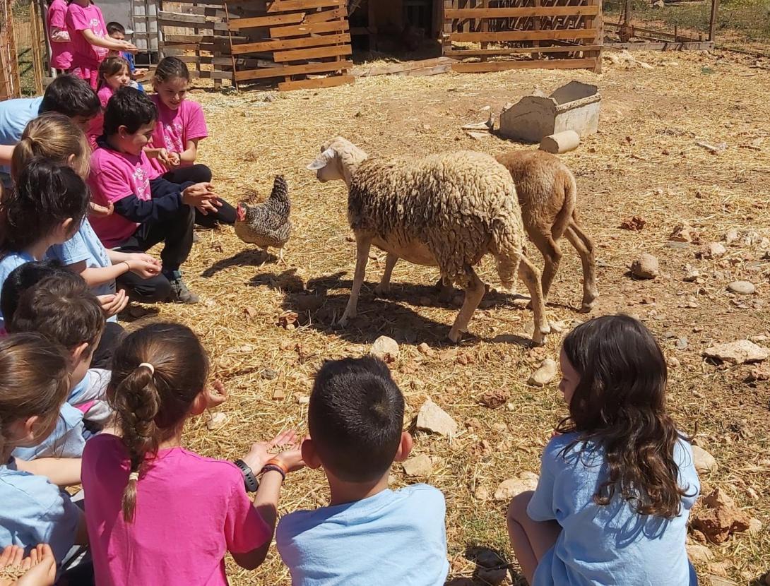 La granja i el món del cavall