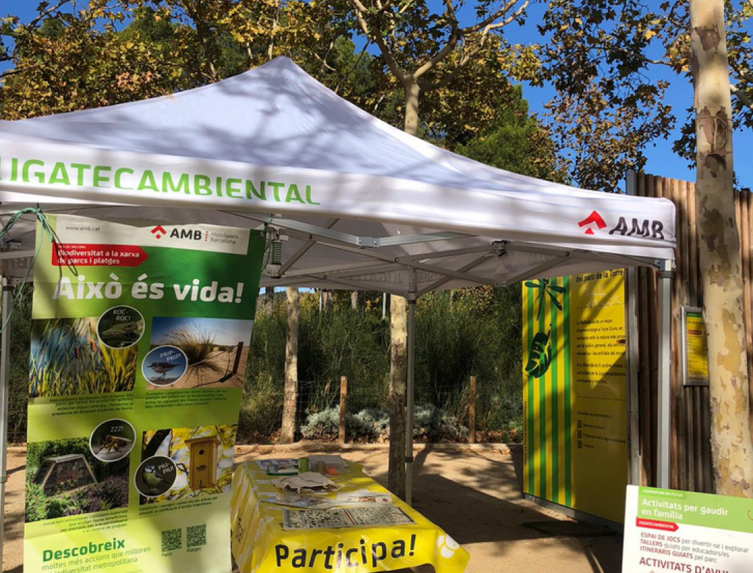 Visitem la Jugatecambiental