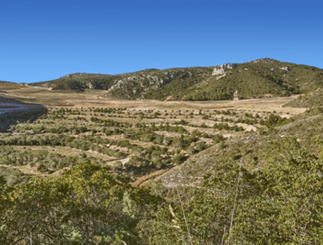 Dipòsit controlat de la Vall de Joan