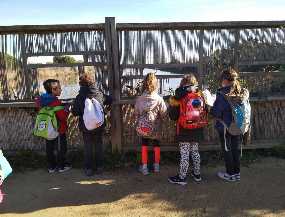 On es troba el Rèmol?