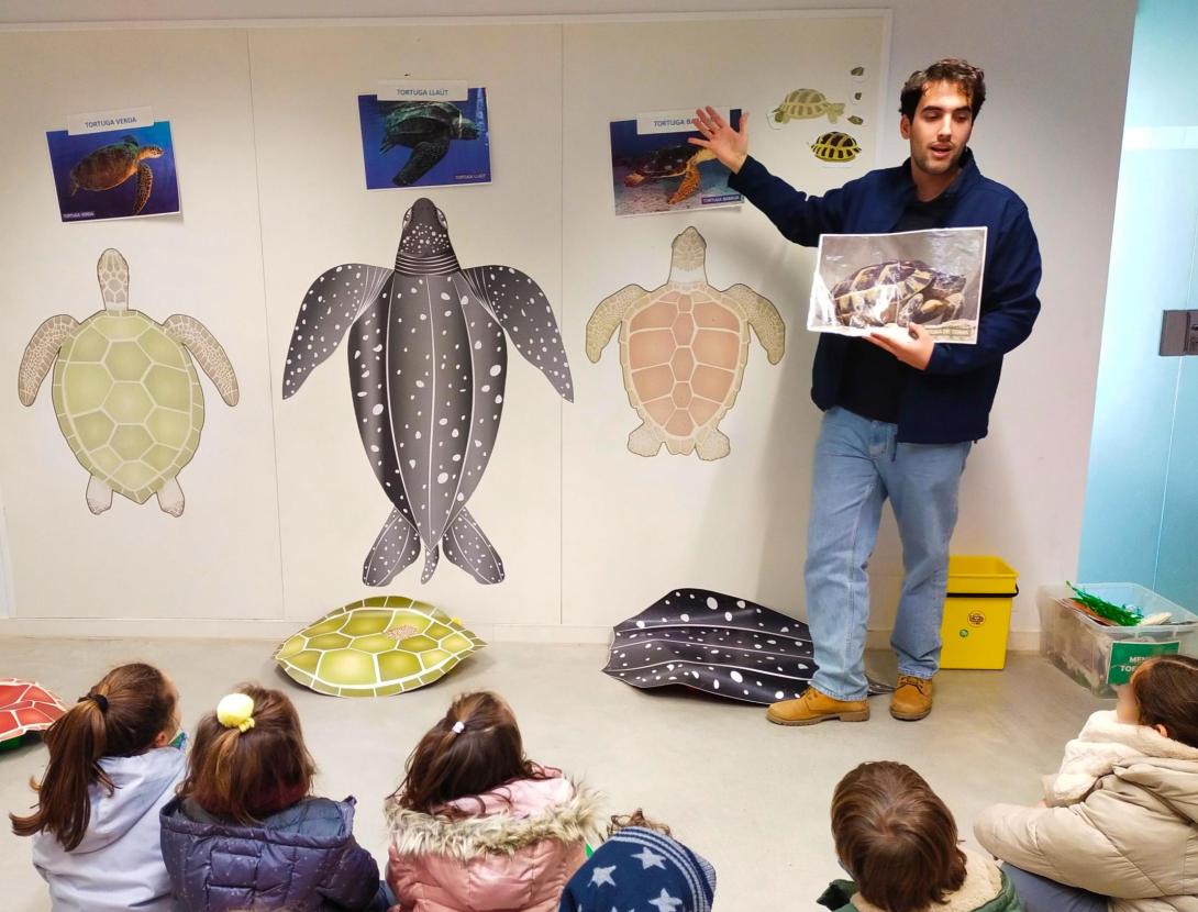 LES TORTUGUES MARINES ARRIBEN AL CRAM