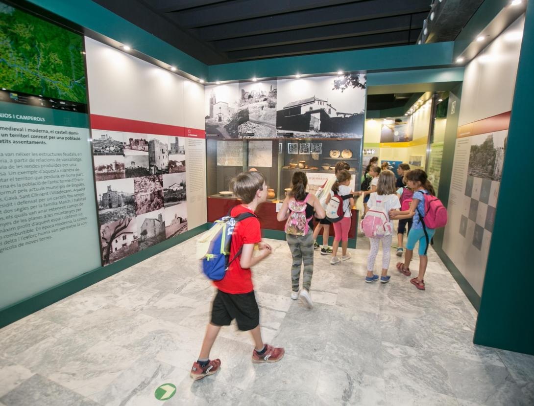 Visita guiada al museu