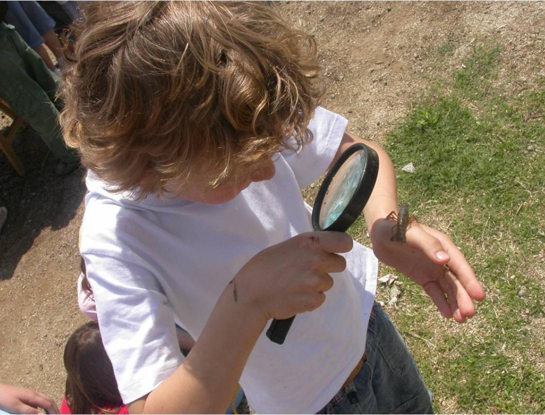 EDUCACIÓ AMBIENTAL ALS ESPAIS NATURALS DEL DELTA DEL LLOBREGAT