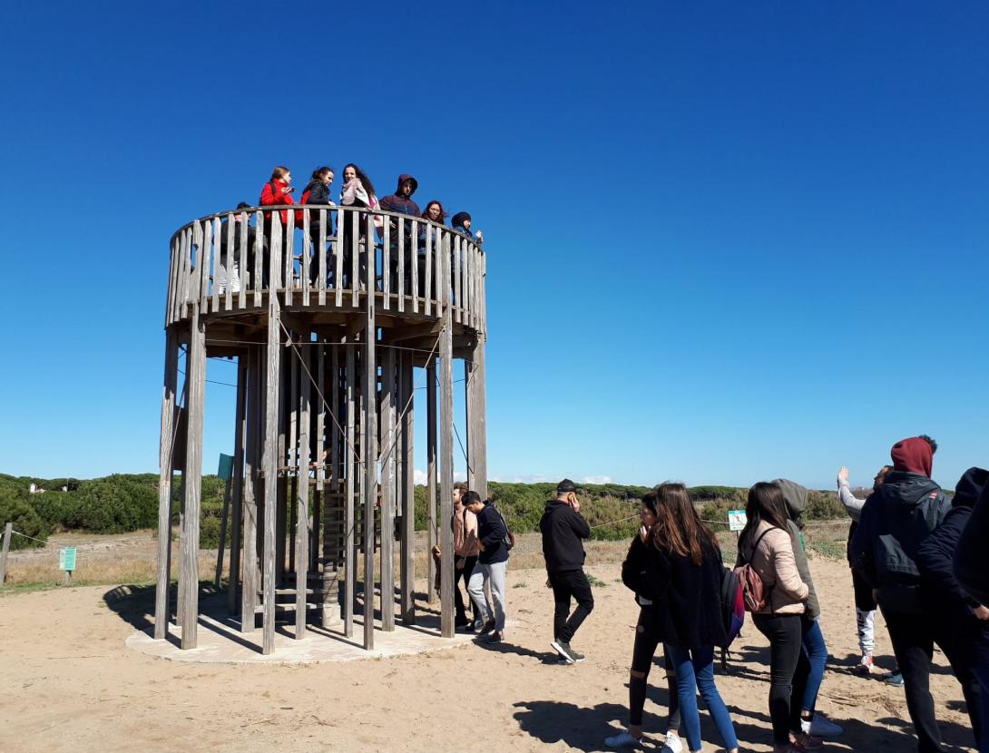 Els estanys litorals