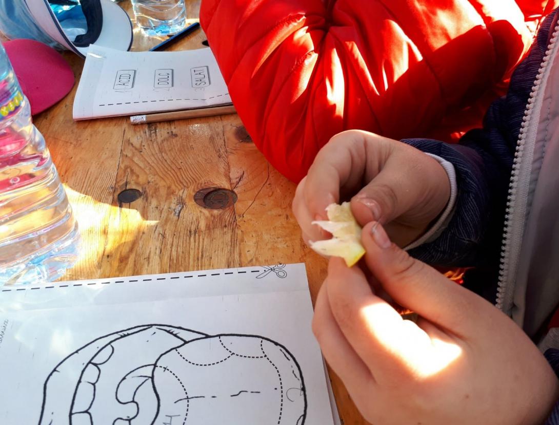 El Delta agrícola i natural a peu i en bici