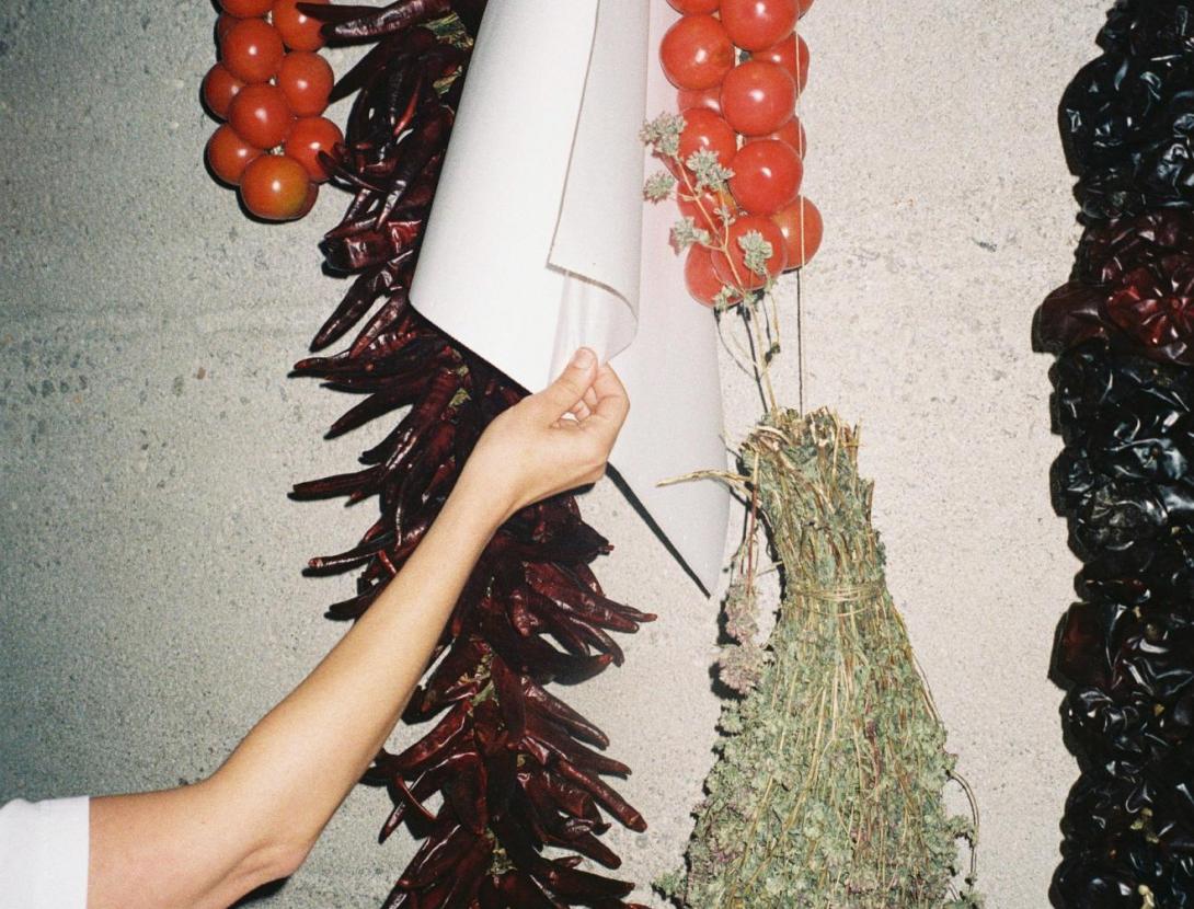 CANVIS AL FOLLIA DE POT