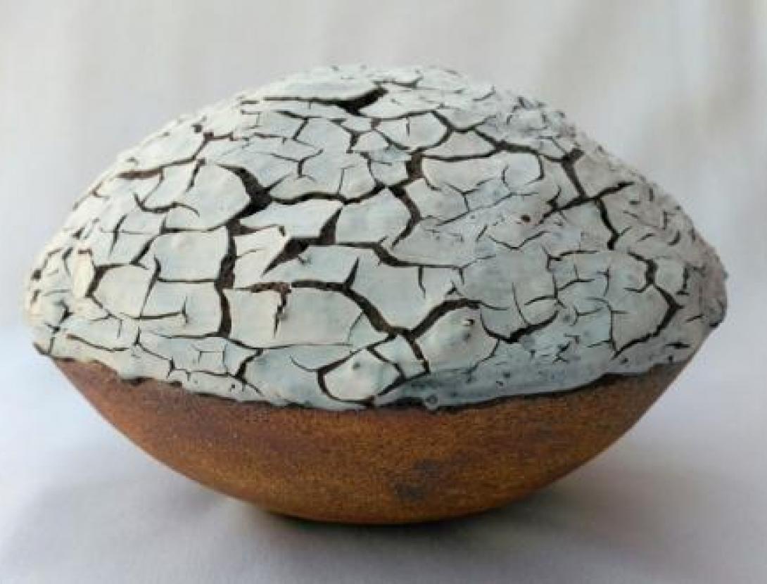 02.Expandida. Montse LlanasWEB.jpg