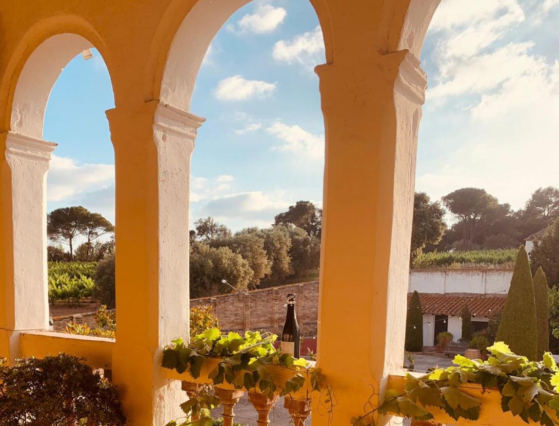 Sopar i posta de sol al celler