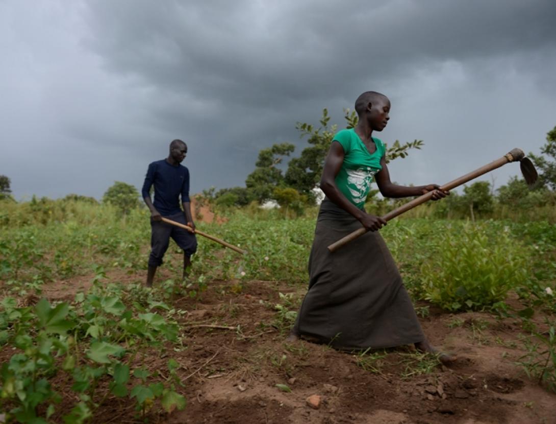 07_ARM6830 agendas.jpg