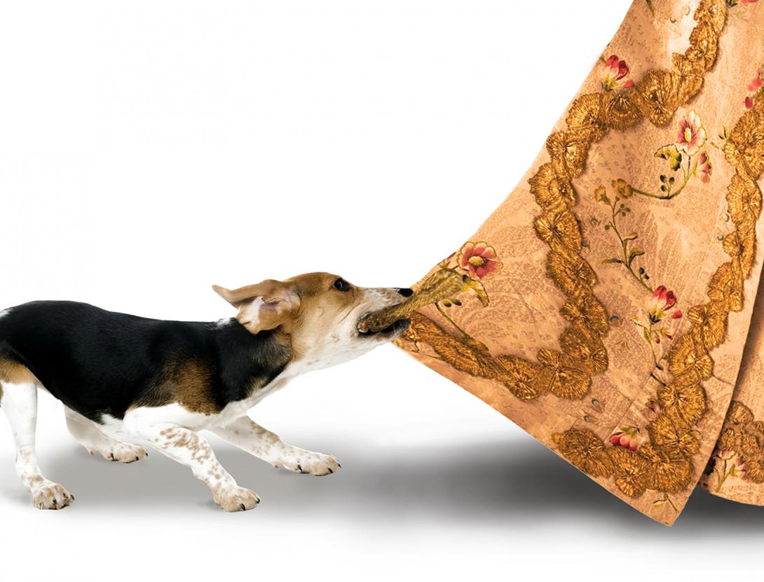 El perro del hortelano - Un clàssic fet Tricicle