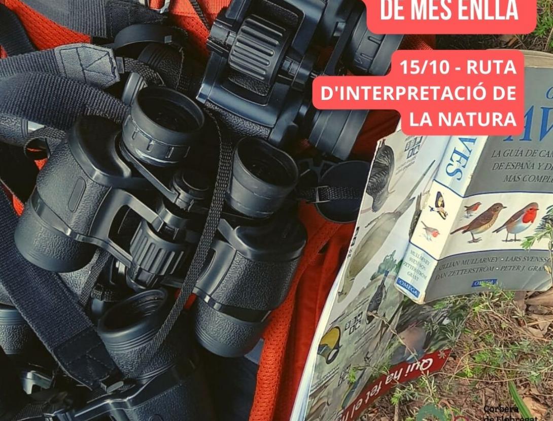 Aus d'aquí, d'allà i de més enllà