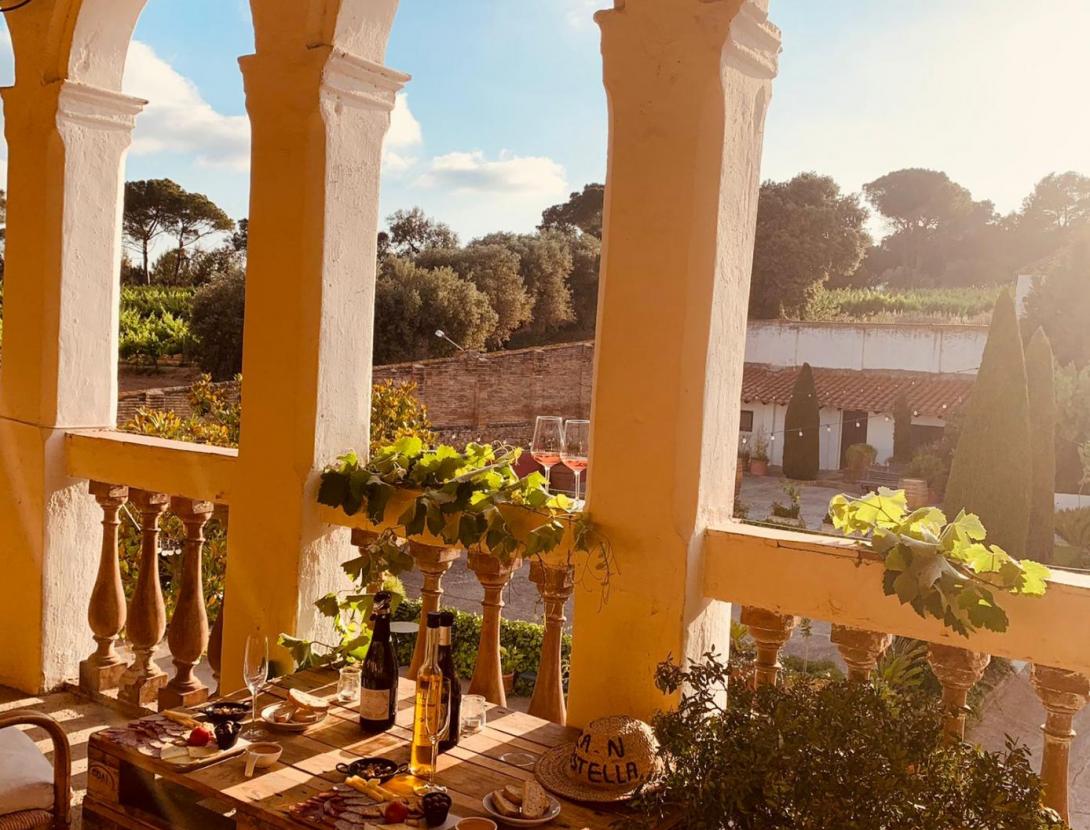 Sopar i posta del sol al celler