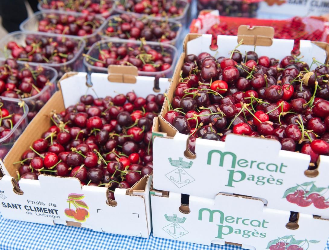 47a Exposició de Cireres