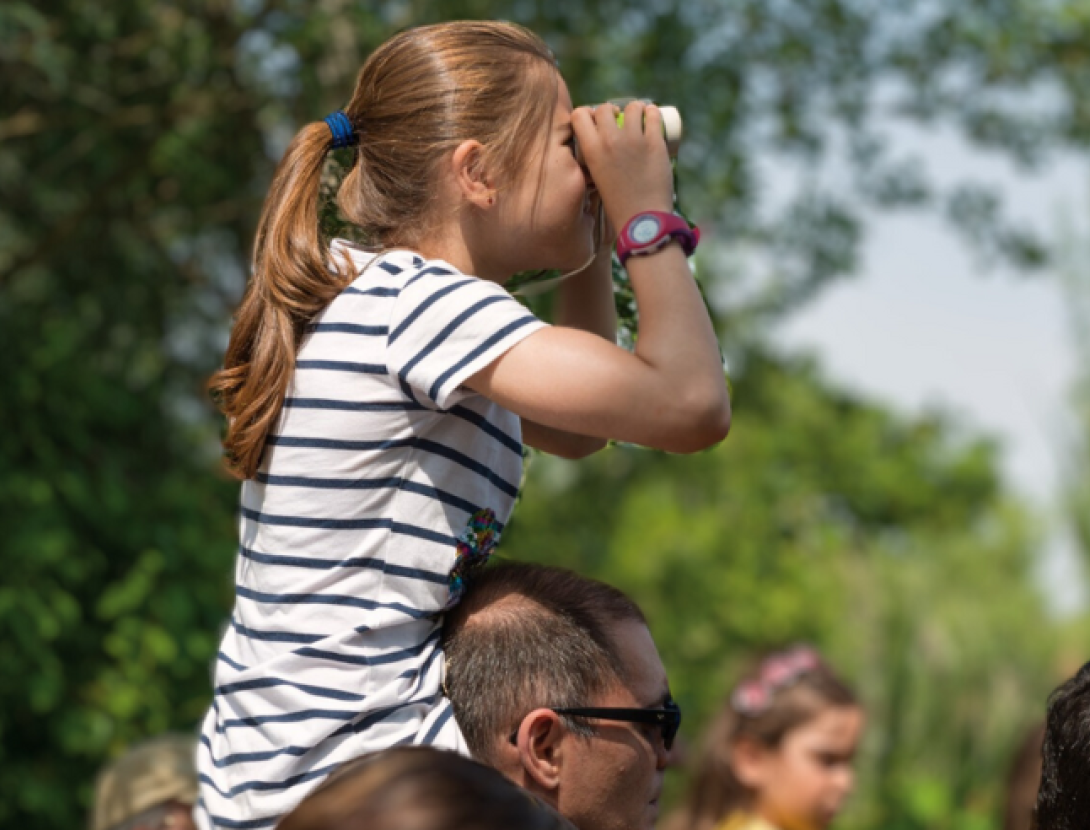 Jugatecambiental. Qui viu al parc?