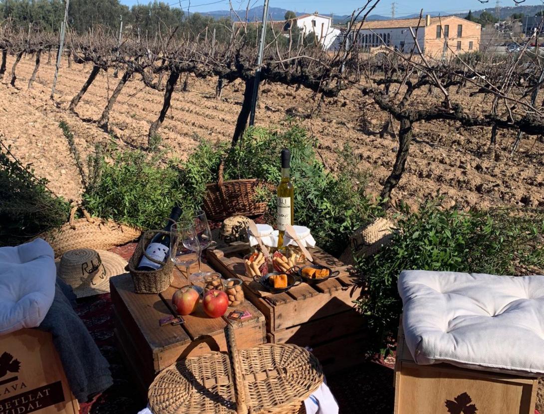 Pícnic entre vinyes